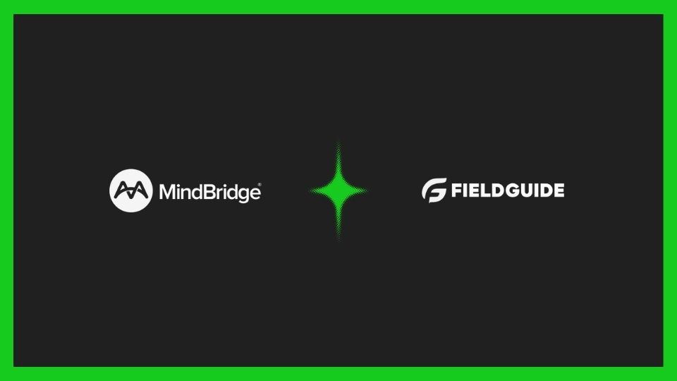 AI Audit Analytics: MindBridge and Fieldguide