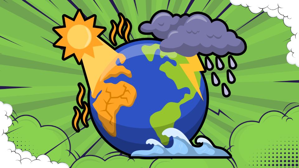 Carbon Finance and Clean Cooking in Malawi